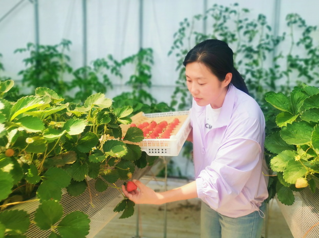 致富靠老乡_致富经卖水果的女人_致富经靠卖土致富的女人