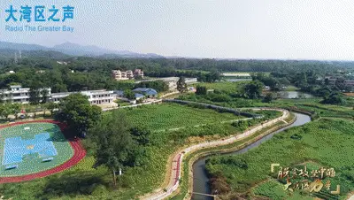 视频致富养殖斗鱼是真的吗_斗鱼养殖致富视频_视频致富养殖斗鱼是真是假