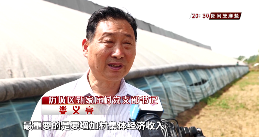 农村庭院养殖致富奇人_农村家庭养殖致富门路_小庭院养殖致富案例