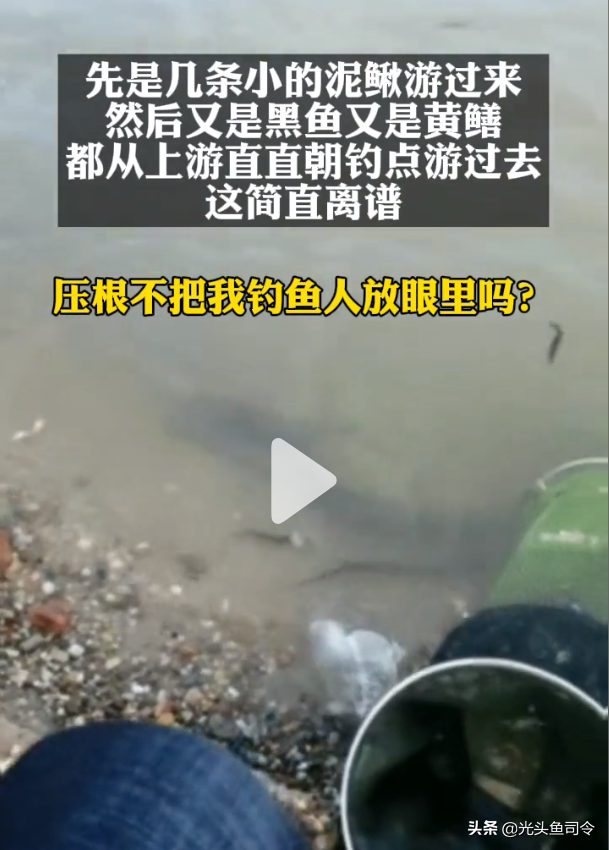 养殖泥鳅黄鳝指导技术视频_养殖泥鳅黄鳝指导技术与管理_泥鳅黄鳝养殖技术指导