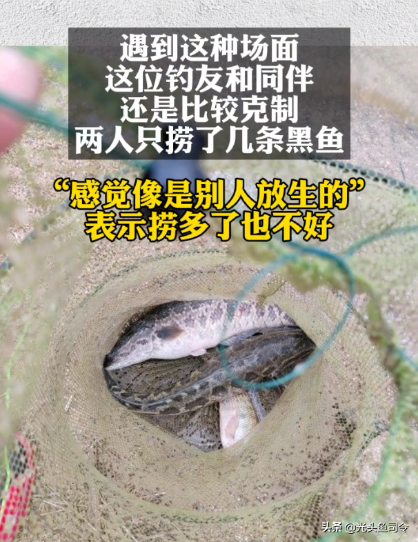 泥鳅黄鳝养殖技术指导_养殖泥鳅黄鳝指导技术视频_养殖泥鳅黄鳝指导技术与管理