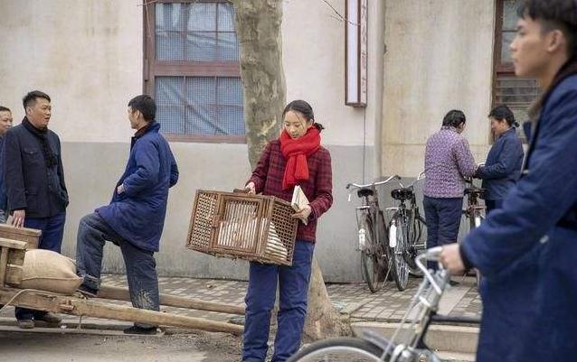 致富经养兔致富视频_致富经兔子养殖_致富经养宠物兔