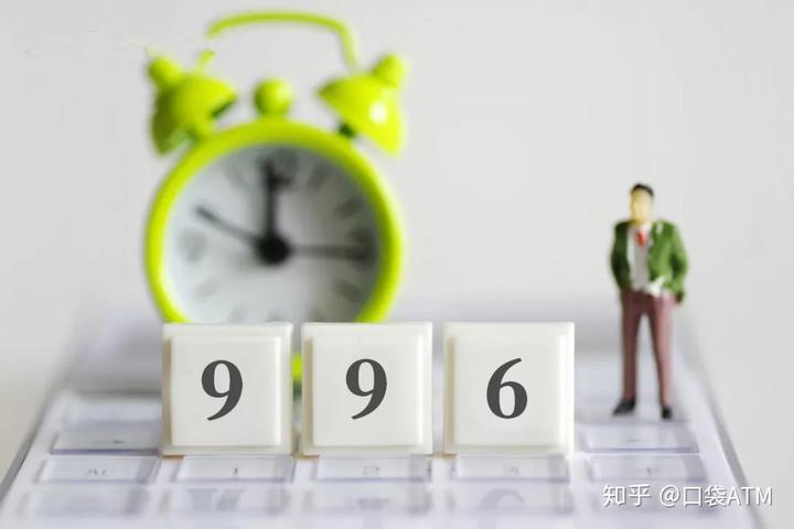 致富种植生菜图片_生菜种植效益_生菜种植致富