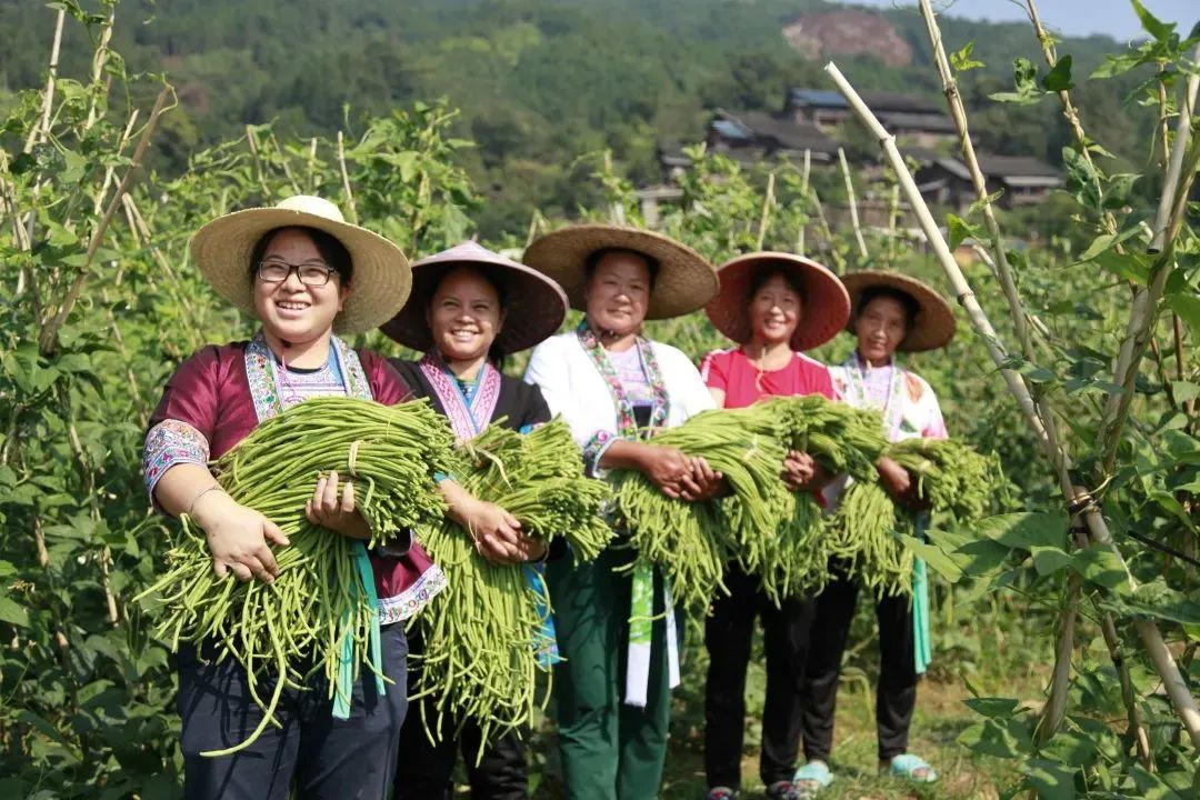 致富种植视频全集_致富种植什么比较赚大钱_种植致富素材