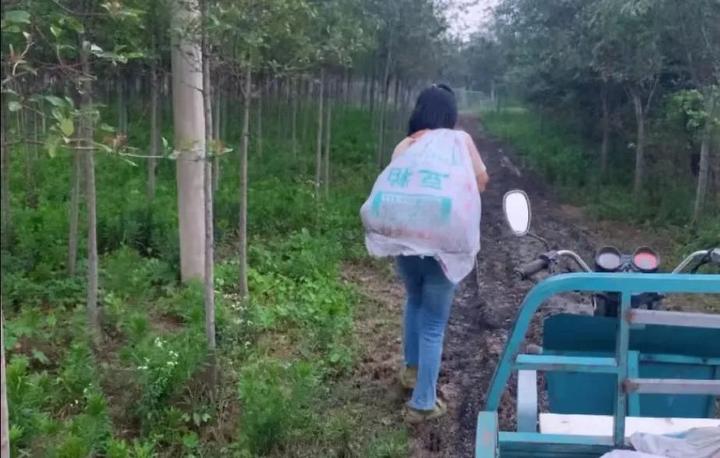 致富万宁养羊项目_致富经万宁养羊_万宁羊种