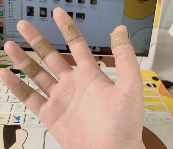 万宁羊种_致富经万宁养羊_致富万宁养羊项目