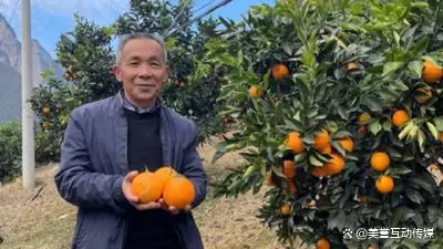 致富素材种植图片_致富种植视频全集_种植致富素材