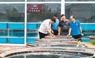 致富中国_致富俺们村_关中致富经