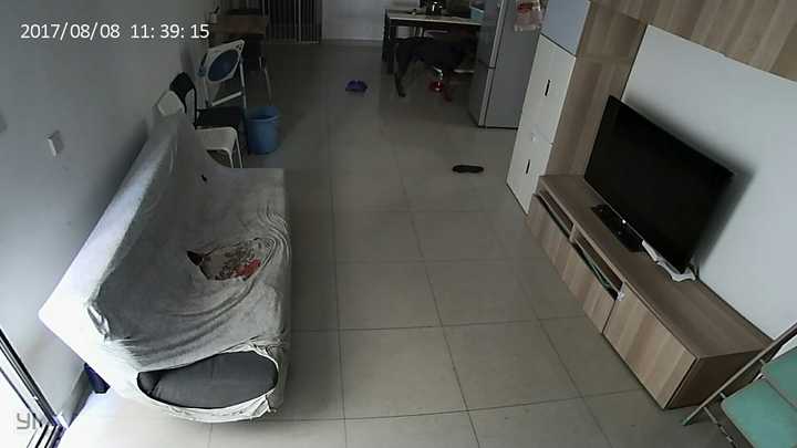 致富经马犬养殖视频_农村养马犬视频_专业马犬养殖