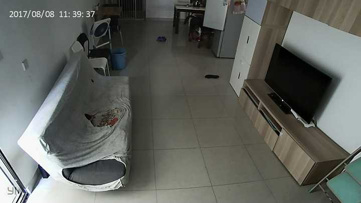 致富经马犬养殖视频_专业马犬养殖_农村养马犬视频