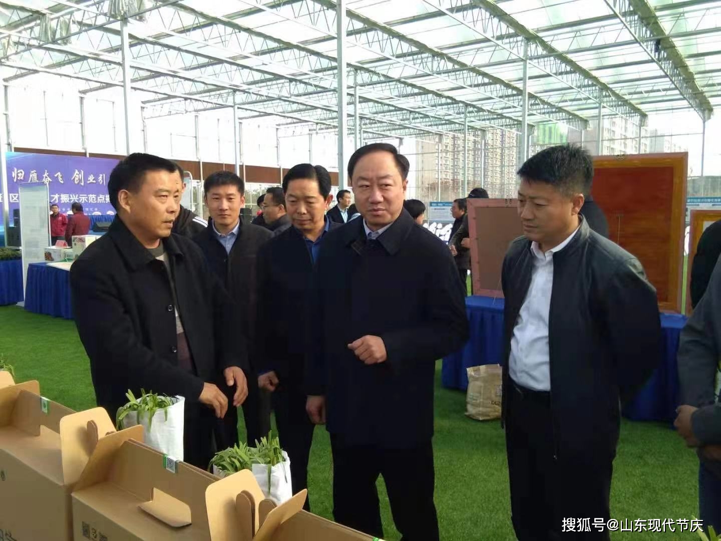 致富经种蔬菜种出千万财富_致富蔬菜种植技术视频_蔬菜种植  致富