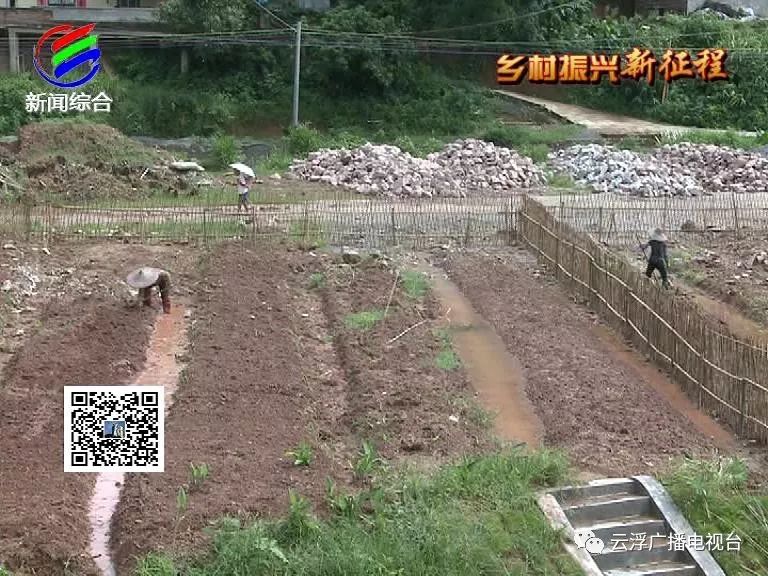 中华豚鼠养殖技术_养殖中华豚鼠技术要求_养殖豚鼠的前景