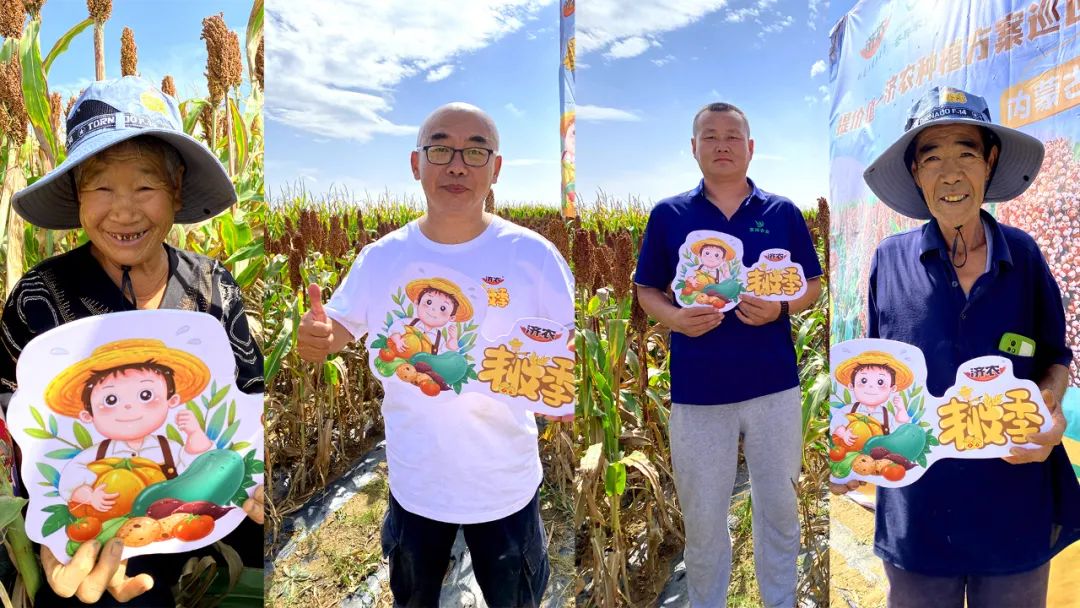 种植甜高粱上当受骗_致富种植甜高粱怎么样_甜高粱种植致富
