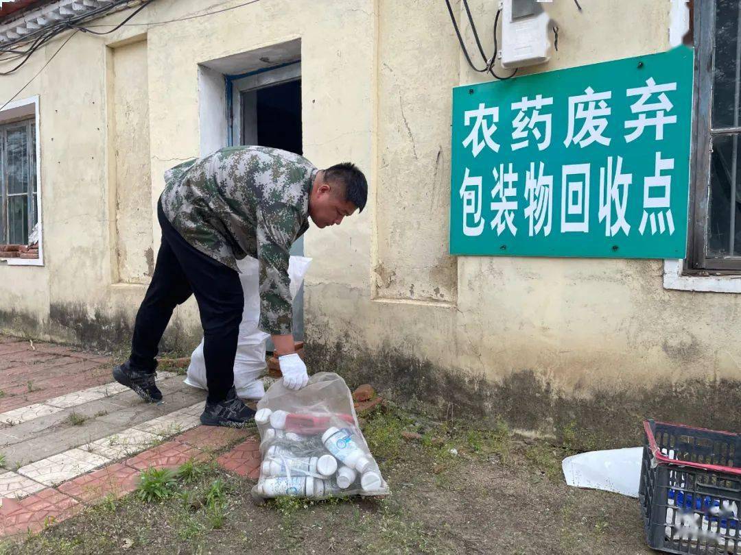 成效作物优质推广经验怎么写_优质作物推广成效及经验_如何推广作物品种