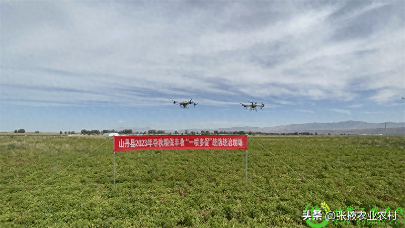2023年山丹县农技推广工作成效显著