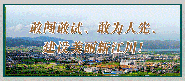 江川：白石岩村养殖山猪走上致富路