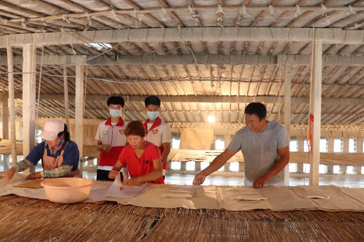 养蚕致富经_养殖蚕致富_养蚕发家致富