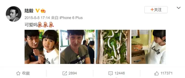 10条蚕宝2500，全城桑树被薅秃？养蚕导致的”悲喜剧“……