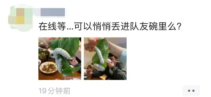 养殖蚕致富_养蚕致富新出路_养蚕发家致富