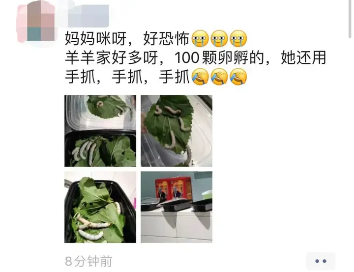 养殖蚕致富_养蚕发家致富_养蚕致富新出路