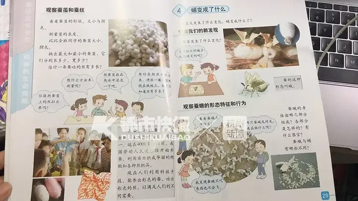 养蚕致富新出路_养殖蚕致富_养蚕发家致富