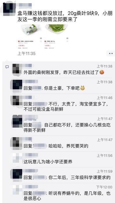 养蚕致富新出路_养殖蚕致富_养蚕发家致富