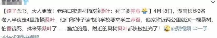 养蚕致富新出路_养殖蚕致富_养蚕发家致富