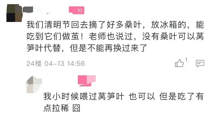 养蚕发家致富_养殖蚕致富_养蚕致富新出路