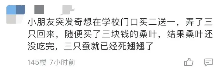 养殖蚕致富_养蚕致富新出路_养蚕发家致富