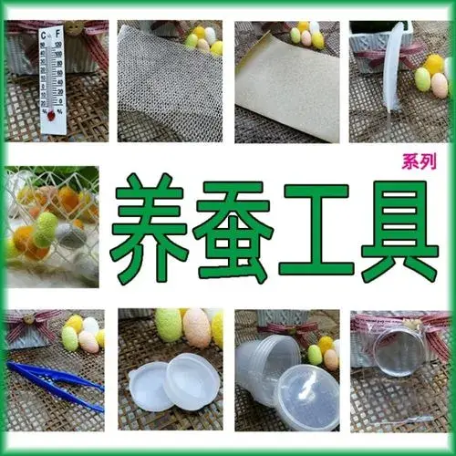 养殖蚕致富_养蚕致富新出路_养蚕发家致富