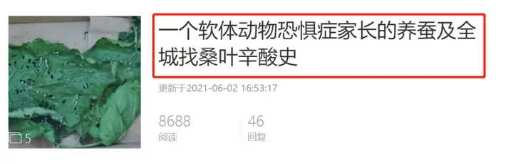 养蚕致富新出路_养蚕发家致富_养殖蚕致富