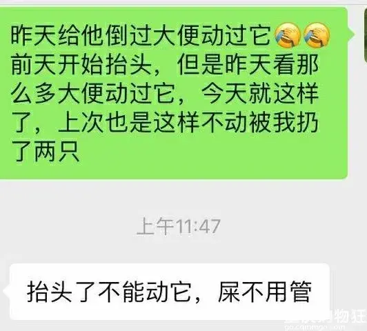 养蚕致富新出路_养蚕发家致富_养殖蚕致富