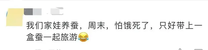 养殖蚕致富_养蚕发家致富_养蚕致富新出路