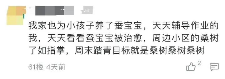 养蚕致富新出路_养殖蚕致富_养蚕发家致富