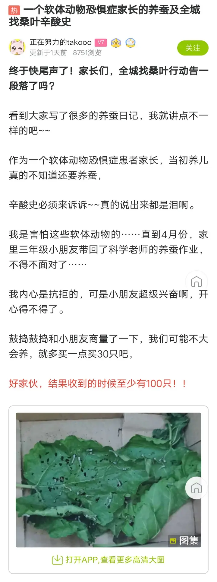 养蚕发家致富_养蚕致富新出路_养殖蚕致富