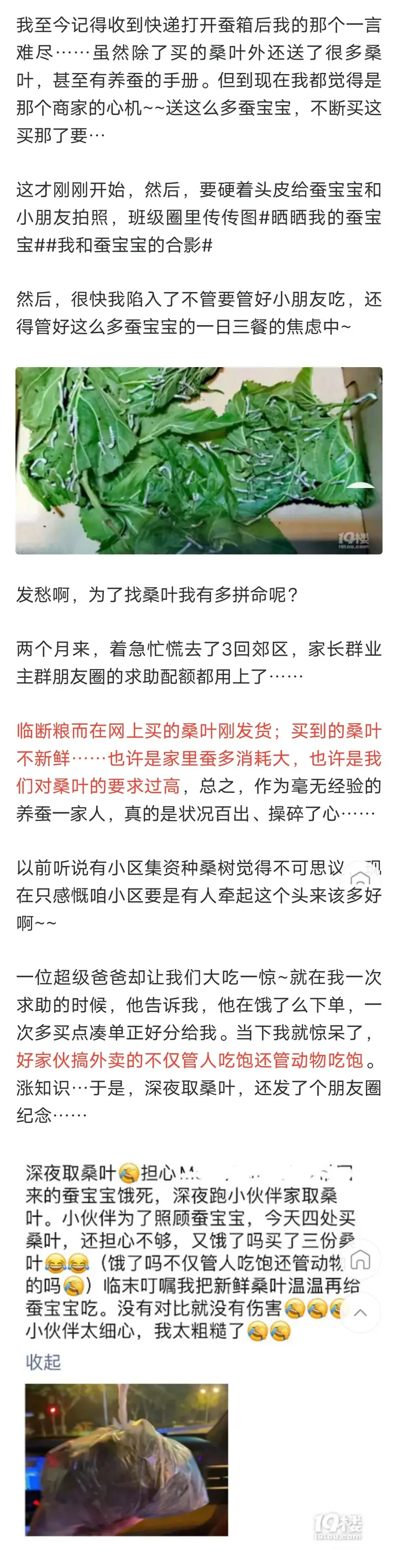 养殖蚕致富_养蚕致富新出路_养蚕发家致富