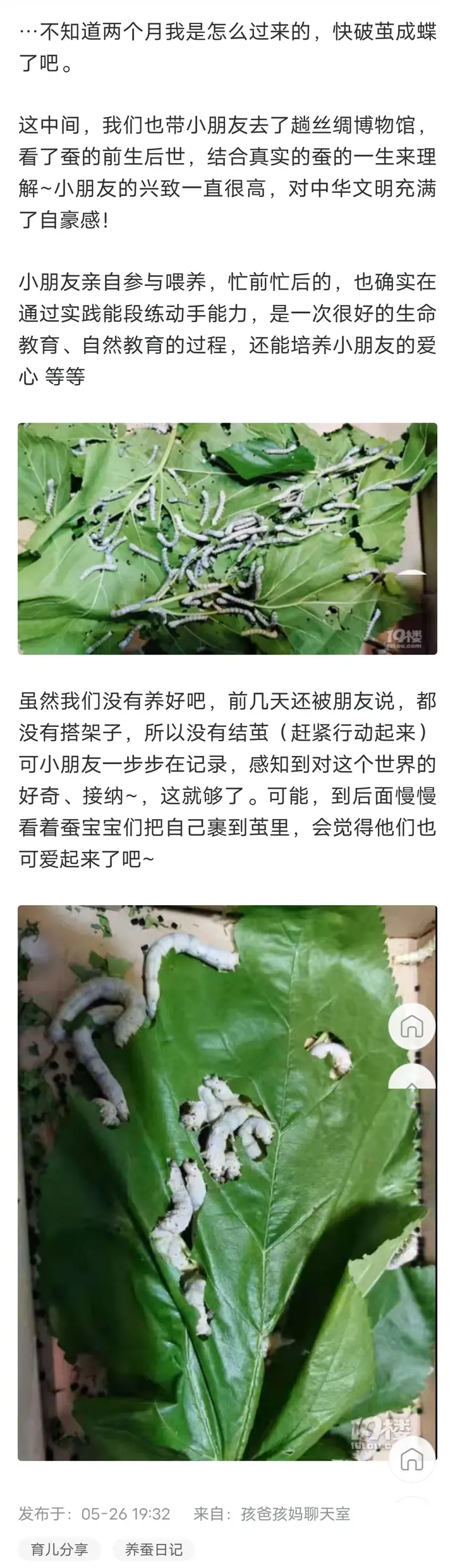 养殖蚕致富_养蚕致富新出路_养蚕发家致富