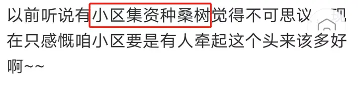 养蚕致富新出路_养蚕发家致富_养殖蚕致富