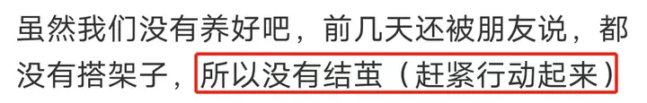 养殖蚕致富_养蚕致富新出路_养蚕发家致富