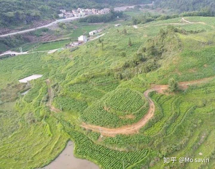 致富经养蚕致富视频_养殖蚕致富_养蚕致富新出路