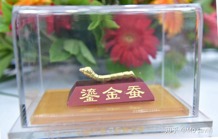 养蚕致富新出路_致富经养蚕致富视频_养殖蚕致富
