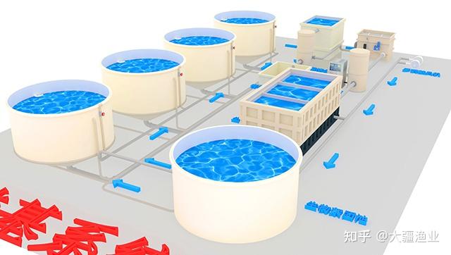 水产行情低迷，养殖户要想盈利如何走?专家给您支招