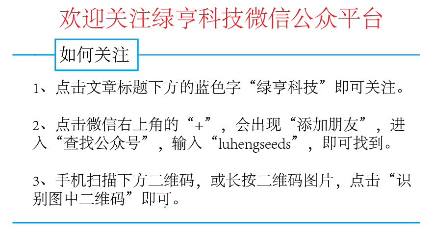 桃籽怎么种植方法出苗_桃子籽怎么种植技术_桃子种子育苗方法步骤