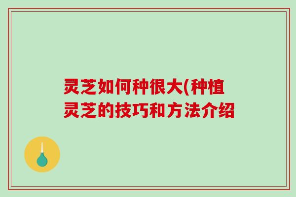 灵芝种植技巧和方法介绍