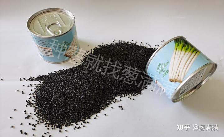 大葱的种植方法和时间施肥_大葱的种植方法能给说一下吗_大葱种植技术方法和时间