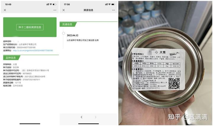 大葱种植技术方法和时间_大葱的种植方法和时间施肥_大葱的种植方法能给说一下吗