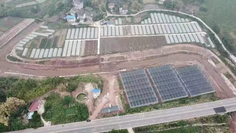 广安农村种植致富_四川农村种植致富好项目_四川广安适合种植什么水果