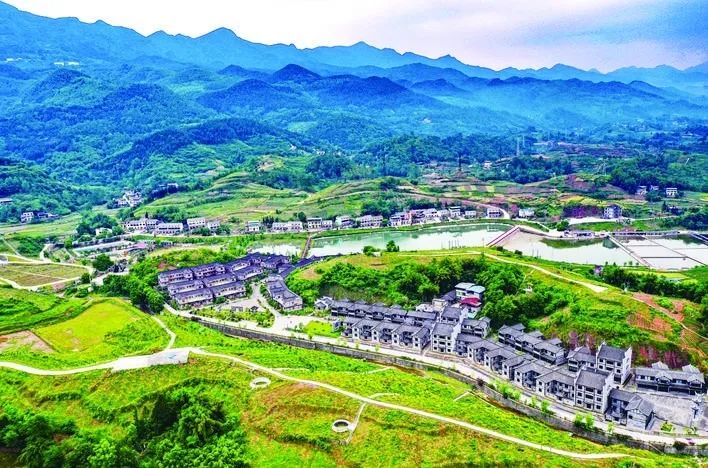 广安农作物_四川广安适合种植什么水果_广安农村种植致富