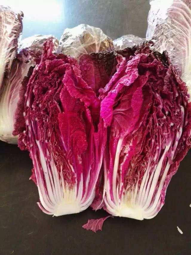 好吃又好看的紫白菜怎么种？掌握这5个技巧，轻轻松松赚大钱