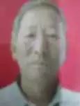 农业致富养殖地黄_种地养殖赚钱么_地黄种植专业合作社简介